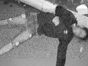Alagoano é assassinado a tiros em Goiás e PC deve investigar crime