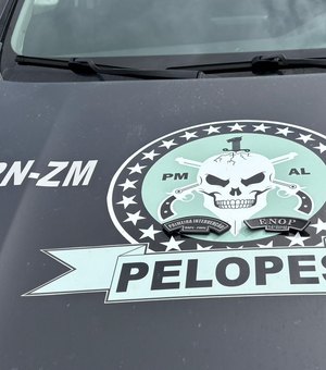 Polícia apreende pistola no carro de homem em Novo Lino
