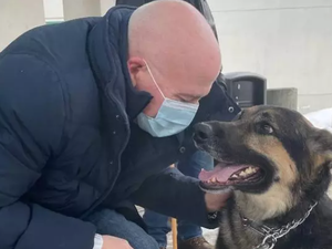 Homem adota cadela  rejeitada por três abrigos e cão salva a sua vida