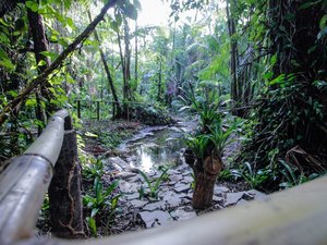 Parque do Horto, em Maceió, recebe ações voltadas à mulher neste sábado (21)