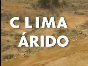 O Nordeste vai virar um deserto? Entenda o fenômeno em curso