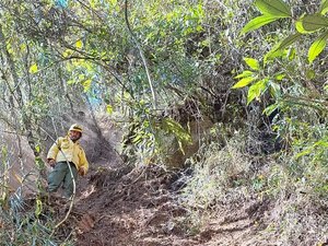 ICMBio multa Exército em 6,5 milhões por incêndio florestal em parque