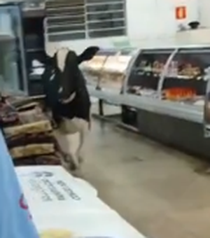 Boi invade supermercado, corre atrás de açougueiro e causa tumulto em MG
