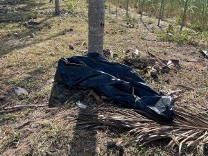 Fernando Lustosa afirma que autor de atentado contra cinco pessoas em Penedo foi identificado