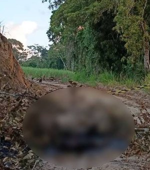 Corpo carbonizado é encontrado em área pertencente a usina em Rio Largo