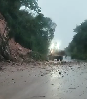 [Vídeo] Deslizamento de barreira é registrada na Al 110, em Junqueiro