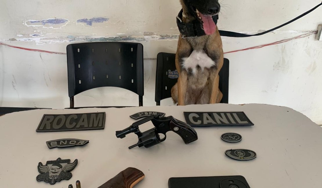 Duas armas de fogo são apreendidas após ocorrências em Arapiraca