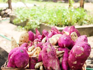 Produtores poderão tirar dúvidas sobre edital de aquisição da agricultura familiar