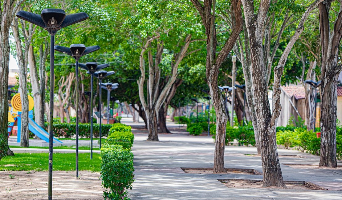 Inscrições abertas: Arapiraca sedia o XI Encontro Nordestino de Arborização Urbana em julho