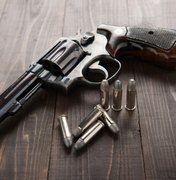 Comissão do Senado autoriza posse de arma de fogo por moradores da zona rural