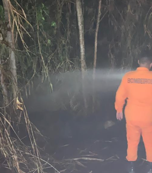 Além de incêndio na Serra da Barriga, bombeiros apagaram fogo em poste, em União