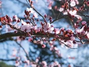 Primavera começa neste sábado com calor e será marcada por temperaturas acima da média