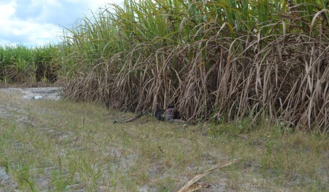 Corpo em decomposição é encontrado na zona rural de Campo Alegre