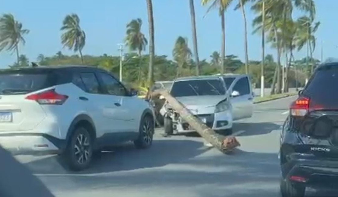 Carro colide contra coqueiro e complica trânsito em trecho da AL-101 no Pontal