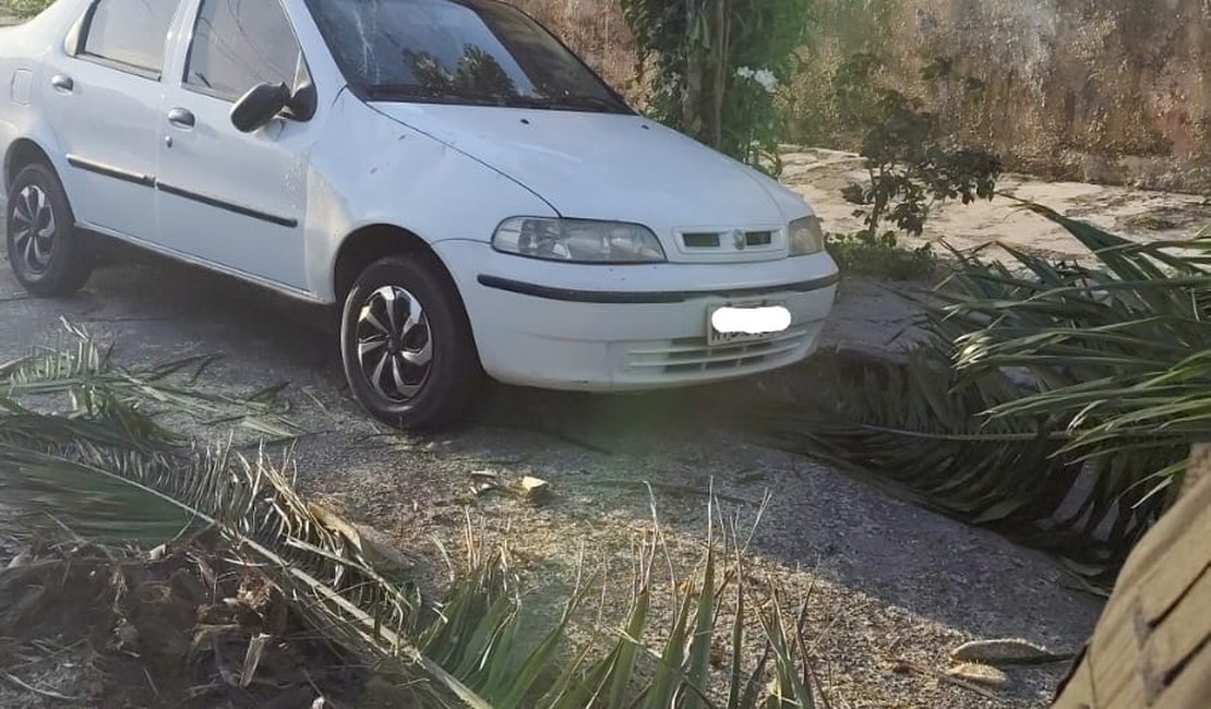 Árvore cai, atinge veículo estacionado e bloqueia rua no bairro do Prado