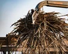 Câmara aprova apoio financeiro a produtores de cana-de-açúcar no Nordeste