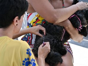 Prefeitura leva vacinação antirrábica e consultas para dez bairros de Maceió