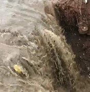 Chuvas fortes voltam a deixar estragos em Arapiraca 
