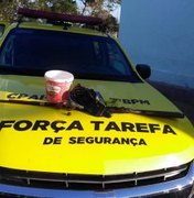 Polícia prende suspeito de atirar em via pública em Santana do Ipanema