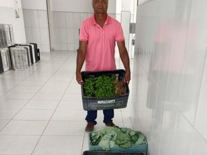 Agricultores de Penedo entregam primeira remessa de itens para alimentação escolar em 2023
