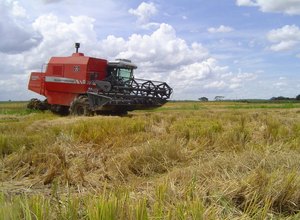 Codevasf investe R$ 137,2 milhões na agricultura familiar