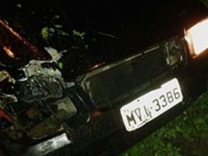 Carro colide contra carroça de burro na AL-115
