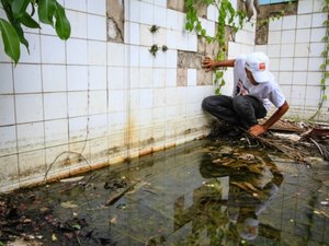 Mutirões contra o Aedes aegypti serão realizados aos sábados