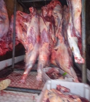 [Vídeo] Carga de carne sem refrigeração é apreendida em Paripueira