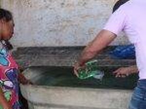 Prefeitura de Arapiraca anuncia mutirões de combate à dengue a partir de quinta-feira