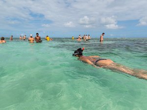 Alagoas estampa capa de revista de bordo da TAP em dezembro