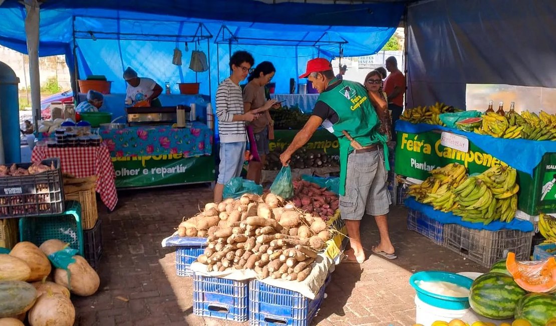 Pedaço do campo em  Maceió: a Feira Camponesa está de volta à Praça da Faculdade