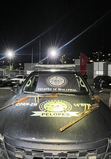 Polícia apreende armas de fogo na zona rural de Colônia Leopoldina