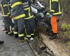 Colisão entre dois carros deixa três mortos e dois feridos em Santana do Ipanema
