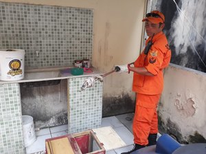 Cobra é encontrada em telhado de residência em Maragogi