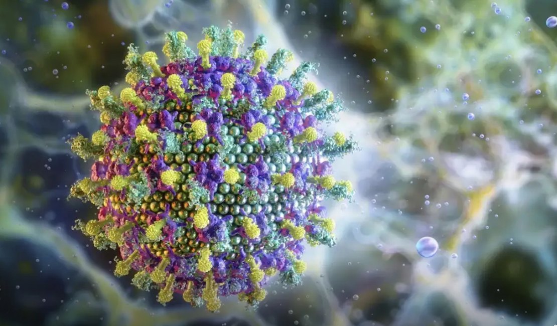 Ministério da Saúde diz que vírus Nipah não ameaça o Brasil