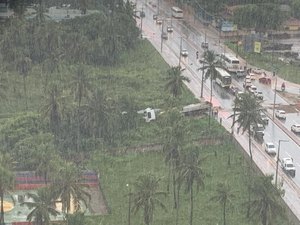 [Vídeo] Carreta perde o controle na Eco Via Norte e atravessa AL-101