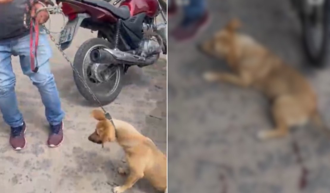 Homem é flagrado arrastando cachorro preso a uma corda com uma moto, em Arapiraca