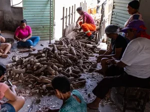 Orientação busca preparar produtores de Alagoas para impactos climáticos do El Niño