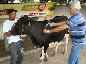 Governador empossa Comitê de Defesa Agropecuária