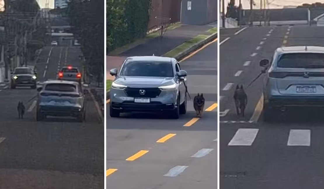 Motorista dirige carro com cachorro preso do lado de fora pela coleira, no Paraná