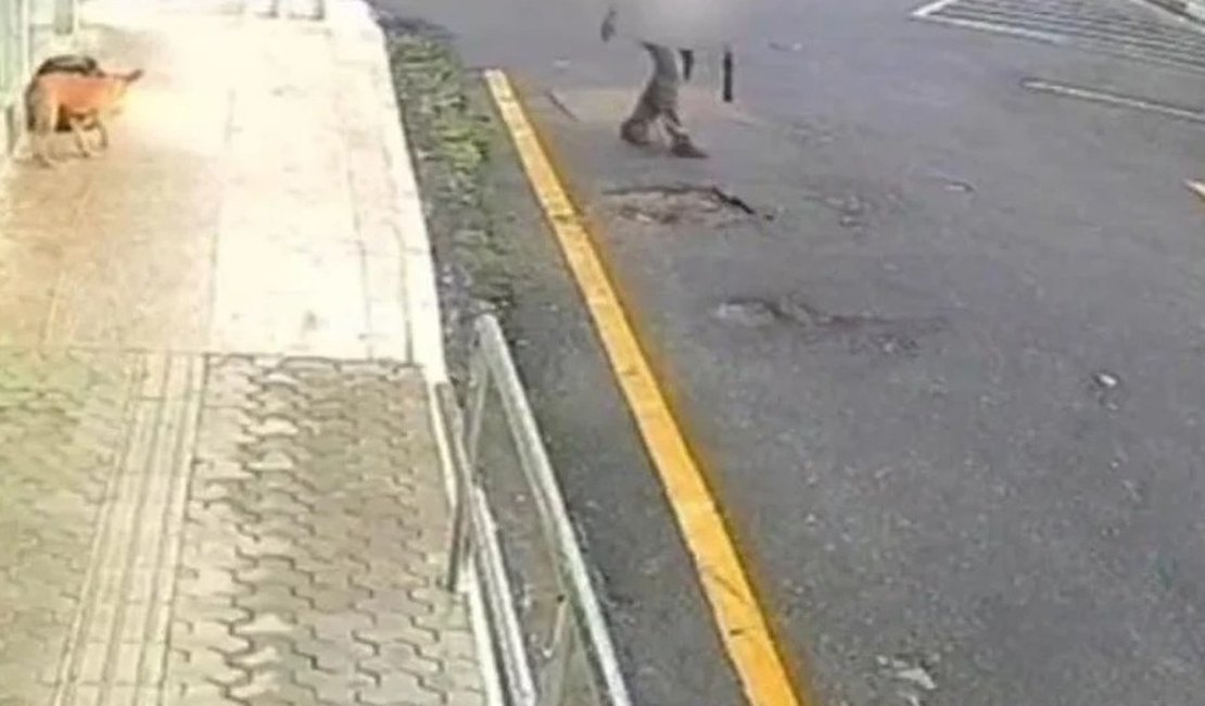 Idoso é preso por matar cães com veneno e tentar subornar policiais com R$ 5 mil em Palmeira