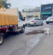 Óleo diesel na pista provoca acidentes próximo ao Mercado do Artesanato de Arapiraca