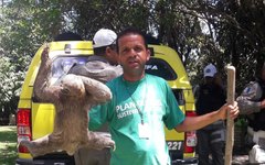 Animal foi encontrado na rodovia em São Miguel dos Milagres 