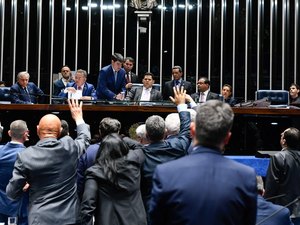 Senado aprova derrubar decretos de Bolsonaro que flexibilizam porte de armas