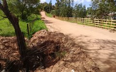 Árvore ameaça cair e pode causar um grave acidente na zona rural de Arapiraca 
