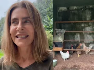 Maitê Proença deixa apartamento beira-mar e aposta em vida no campo