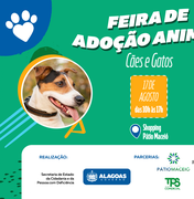 Feira de Adoção de Cães e Gatos é realizada neste sábado