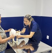 HC Pet muda histórias e leva mais saúde e dignidade aos pets de Maceió