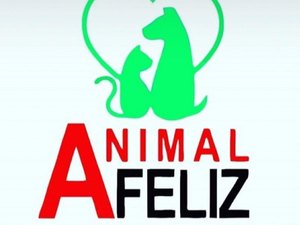 ONG pede ajuda para manter abrigo de animais 