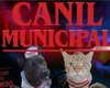 Canil aposta em Stranger Things para nomear animais e promover adoção